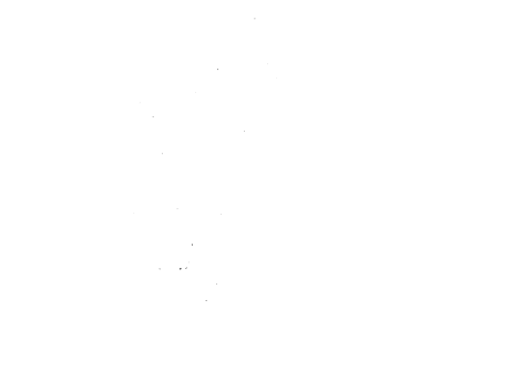 Н.И.Новиков, издатель и литератор.