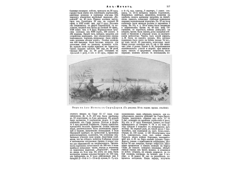 Вид на Ак-Мечеть с Сыр-Дарьи.