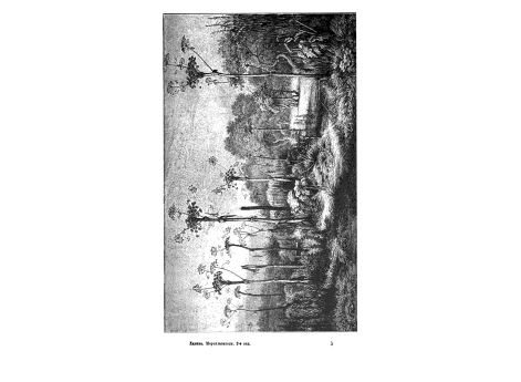 Вид трав внутри Камчатского полуострова.