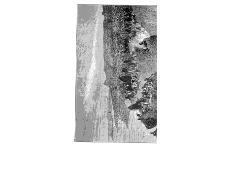 Прибыловские острова.