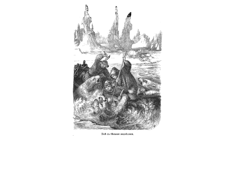 Бой с белыми медведями.