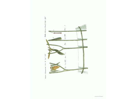 Том II. Таб.XIV. стр.682.