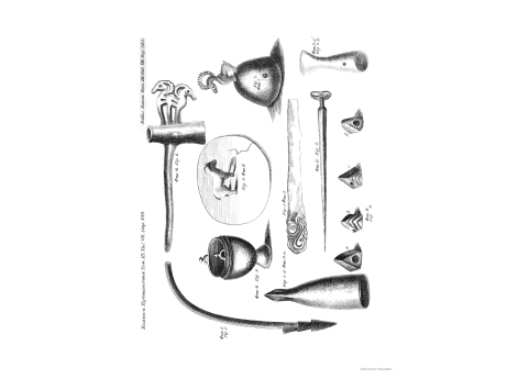 Том III. Таб.VII. Стр.539.