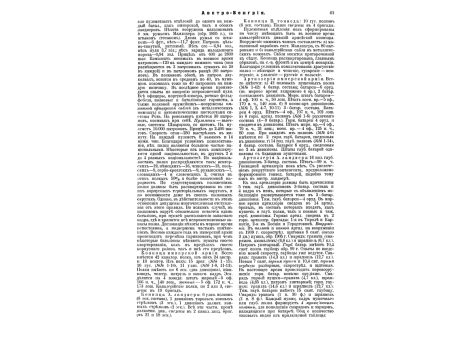 Рис.21. Боевой порядок шведской армии.