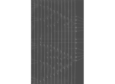 Таблица расхождения характеров из Darw. Origin of Species.