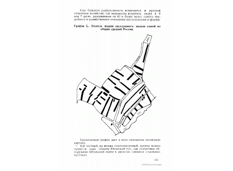 График L. Полосы пашни двухдушного надела одной из общин средней России.