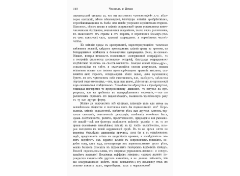 Челны ново-зеландцев, сделанные из пальмовых стволов (даже парус сделан из пальмовых листьев).