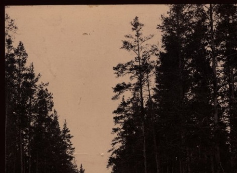 Дорога из Вышнего Волочка в Осташков.