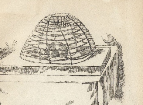 Иллюстрация к стихотворению о мышке в книге