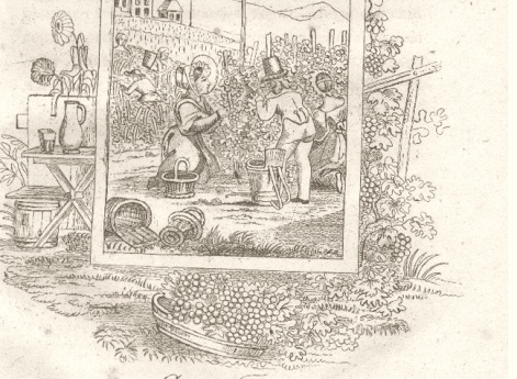 Октябрь. Иллюстрация в книге