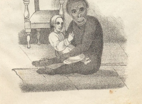 Орангутанг. Иллюстрация в книге