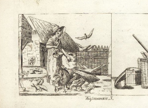 На птичьем дворе. Иллюстрации к книге