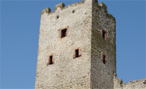 Анонимное письмо из Хиоса о взятии Кафы и о дальнейших действиях турецкого флота в Черном море