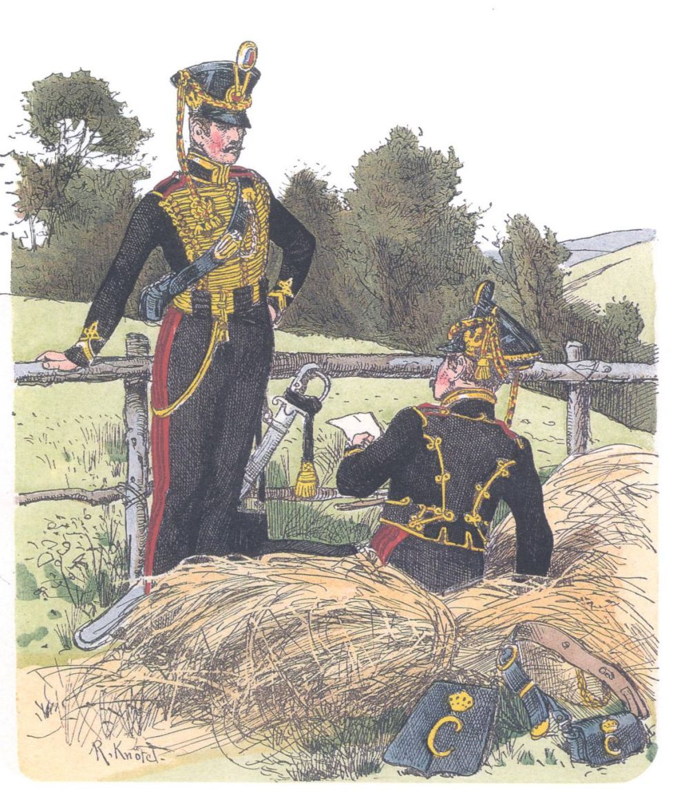 Мекленбург-Стрелиц. Гусарский полк (1813-15)