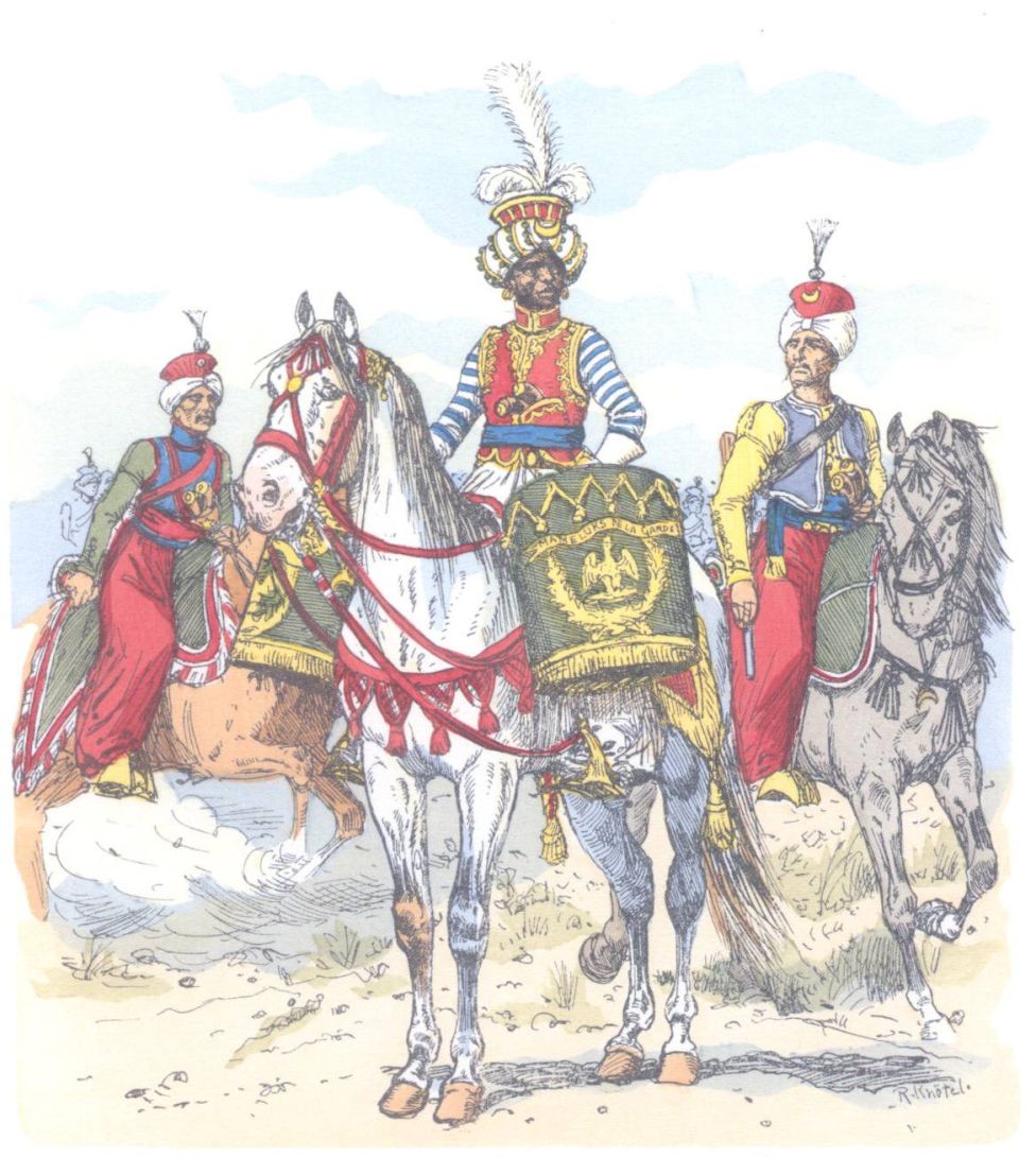 Франция. Гвардия. Мамелюки (1808)