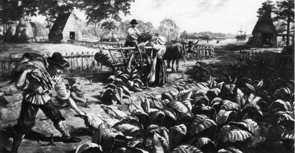 Сбор табака на плантации в Вирджинии 