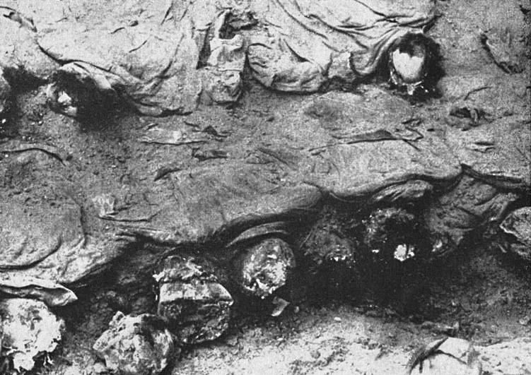 Одна из массовых могил в Катынском лесу