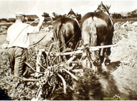 Чешский крестьянин времен Протектората