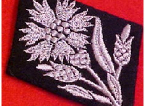 бригадефюрер СС и генерал-майор войск СС Август-Фридрих Цеендер – 21.04.1944 г. – 12.02.1945 г.