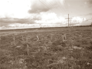 В лагере от туберкулеза умер Лев Платонович Карсавин