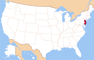 После двухнедельного пребывания в госпитале города Бэкон за чтением “Вильгельма Мейстера” Гёте скончался Федотов