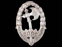 Дивизия «Святого Ласло»