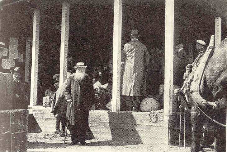 Кропоткин прибывает в Петроград