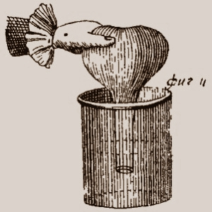 Разрешение Сената печатать "Волфианскую экспериментальную физику"