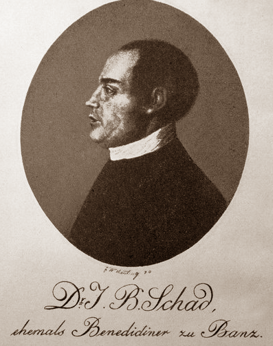 Комиссия, составленная из четырех профессоров, ознакомилась с подозрительными диссертациями