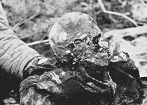 Заметка в газете «Новая жизнь» 