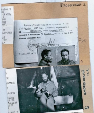 Прошу сообщить мне точно статью и срок моего осуждения